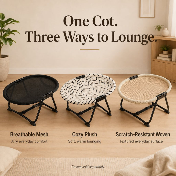 Foldable Elevated Pet Cot for Cats & Small Dogs