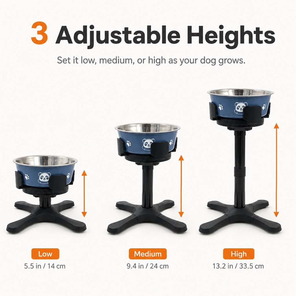 French Bulldog Adjustable Elevated Tilted Dog Bowl for Kitchen Feeding Corners