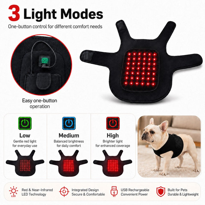 FrenchieGlow Red Light Comfort Vest for French Bulldogs