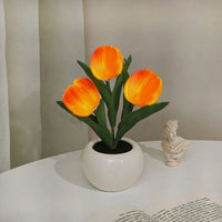 3 Orange Tulips