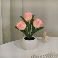 3 Pink Tulips