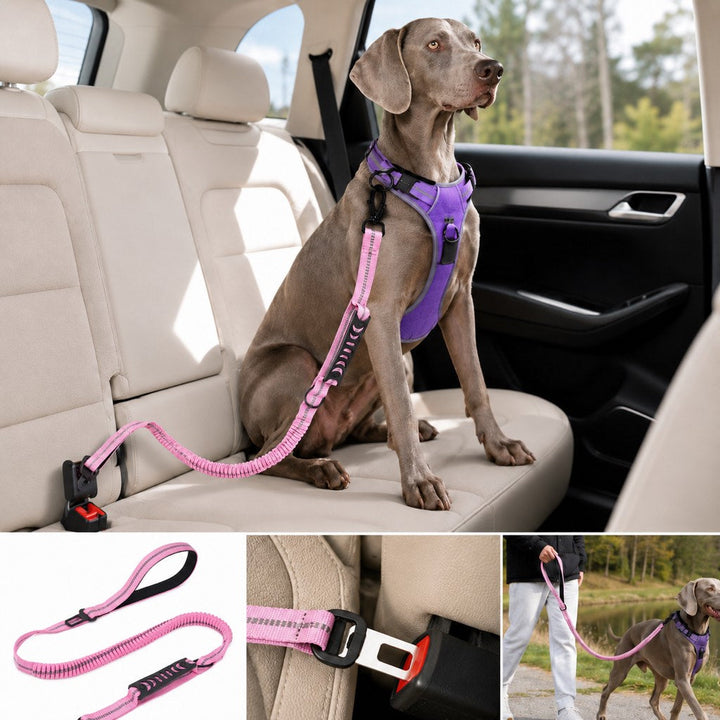 Reflective Dog Car Seat Belt Leash for Backseat Travel & Daily Walks