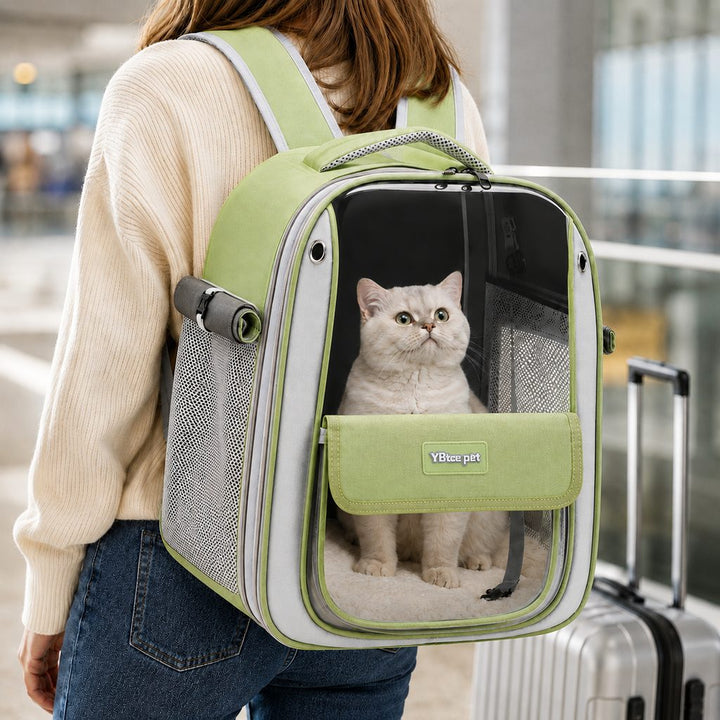 Transparent Cat Backpack Carrier for Travel & Vet Visits