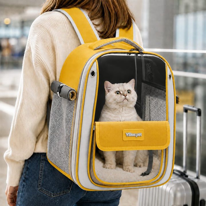 Transparent Cat Backpack Carrier for Travel & Vet Visits