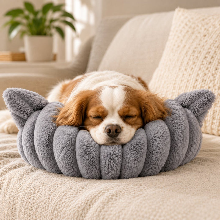 Cozy U-Shaped Pet Neck Pillow for Cats & Small Dogs