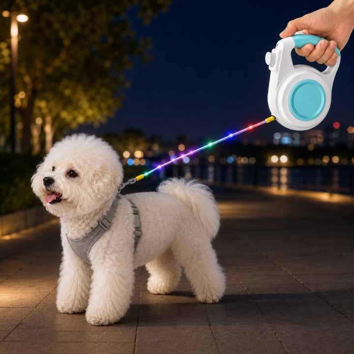 Rechargeable Light-Up Retractable Dog Leash for Night Walks