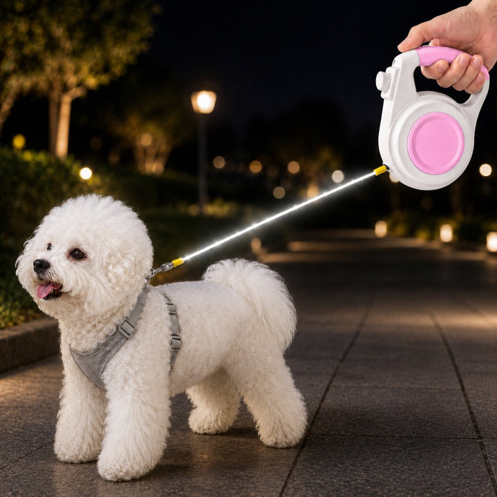 Rechargeable Light-Up Retractable Dog Leash for Night Walks