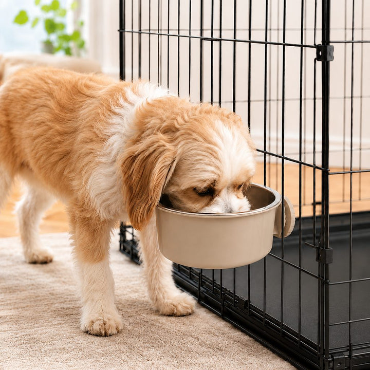 Crate-Mounted Stainless Steel Pet Bowl for Dogs & Cats