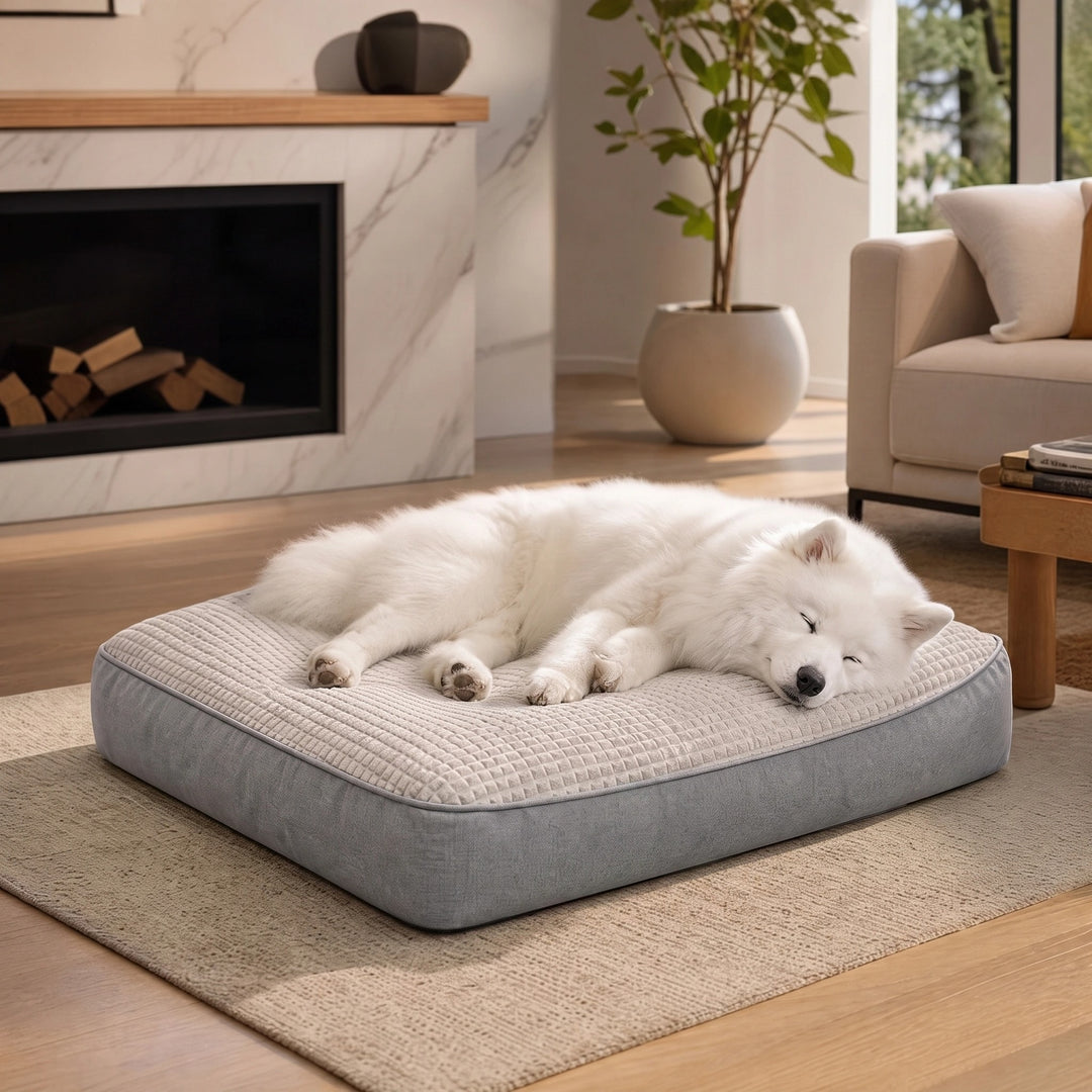 Washable Dog Cushion Bed with Raised Sides and Shredded Sponge Filling