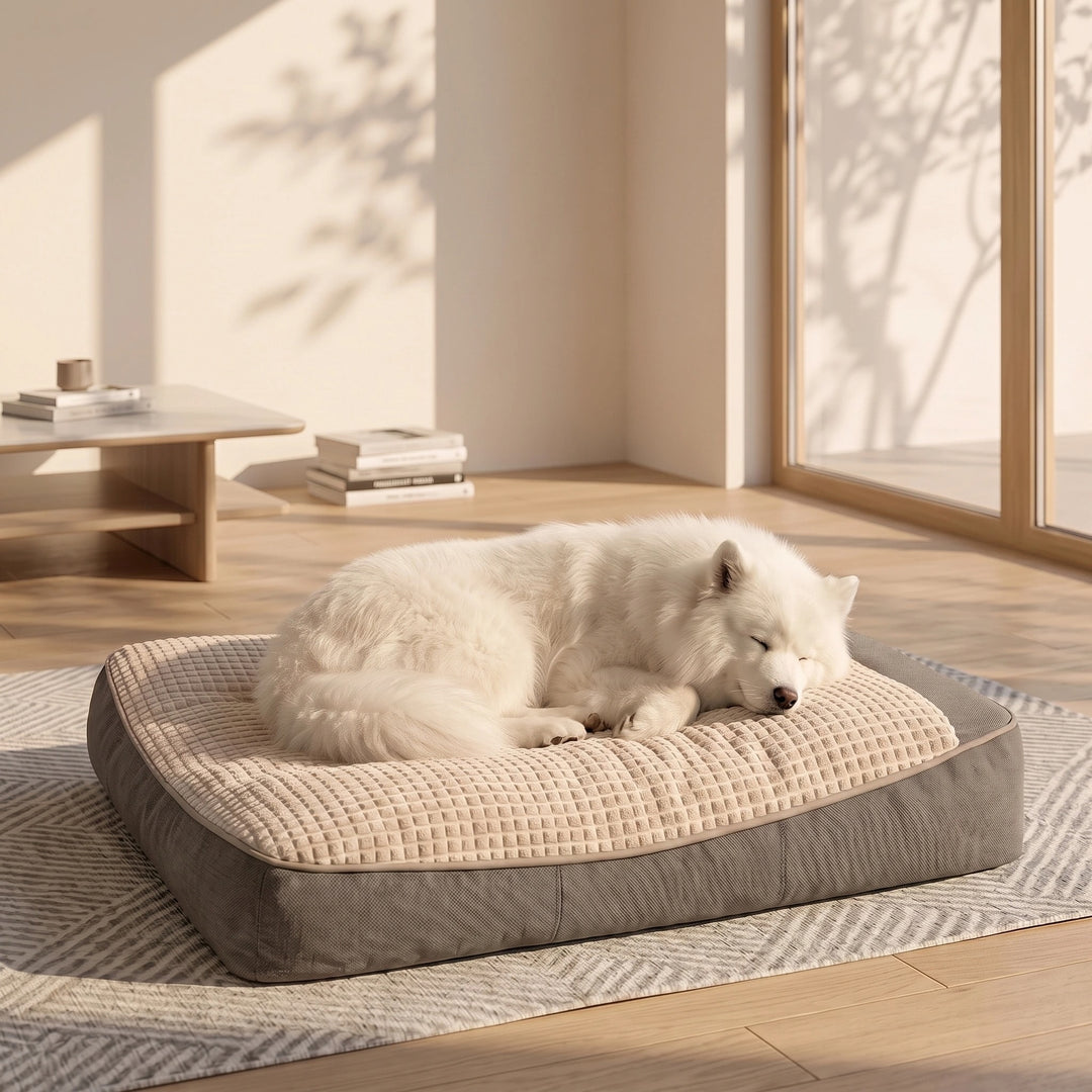 Washable Dog Cushion Bed with Raised Sides and Shredded Sponge Filling