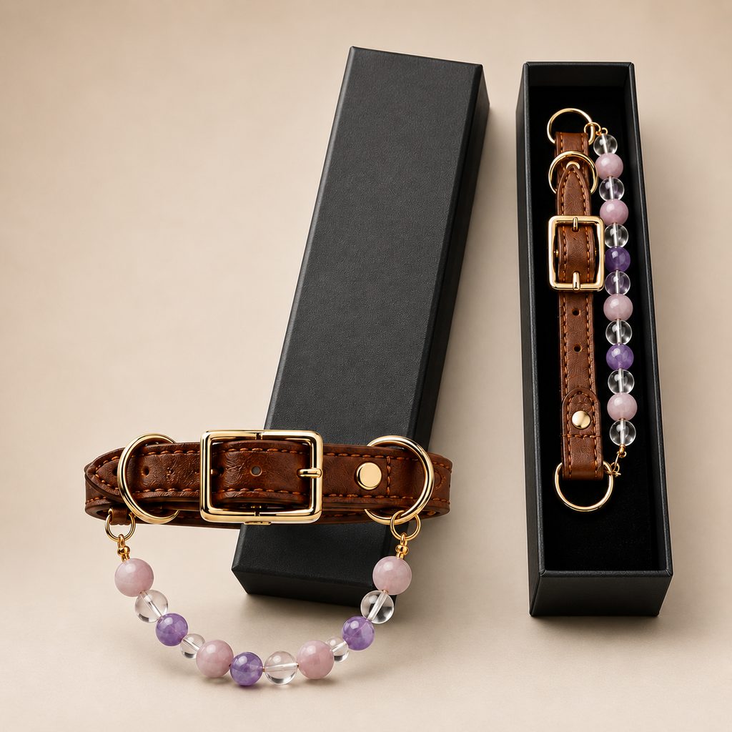 Four Elements Crystal Pet Collar Gift Box for Cats & Small Dogs