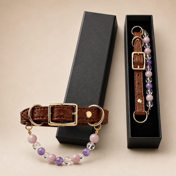 Four Elements Crystal Pet Collar Gift Box for Cats & Small Dogs