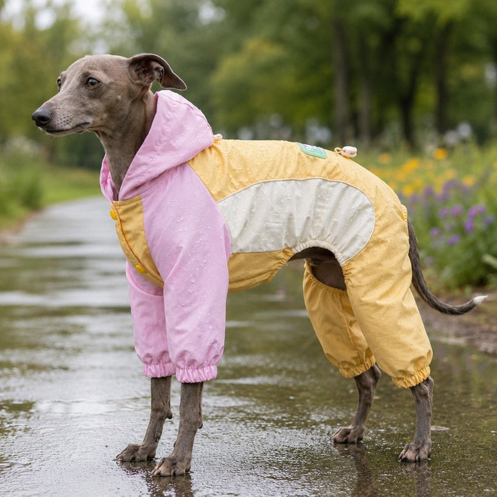 Waterproof Dog Rain Suit for Rainy Walks | Full-Body Mud & Splash Protection