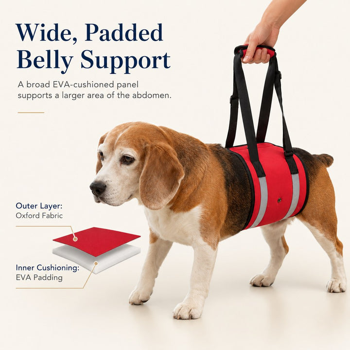 Reflective Dog Lift Support Sling
