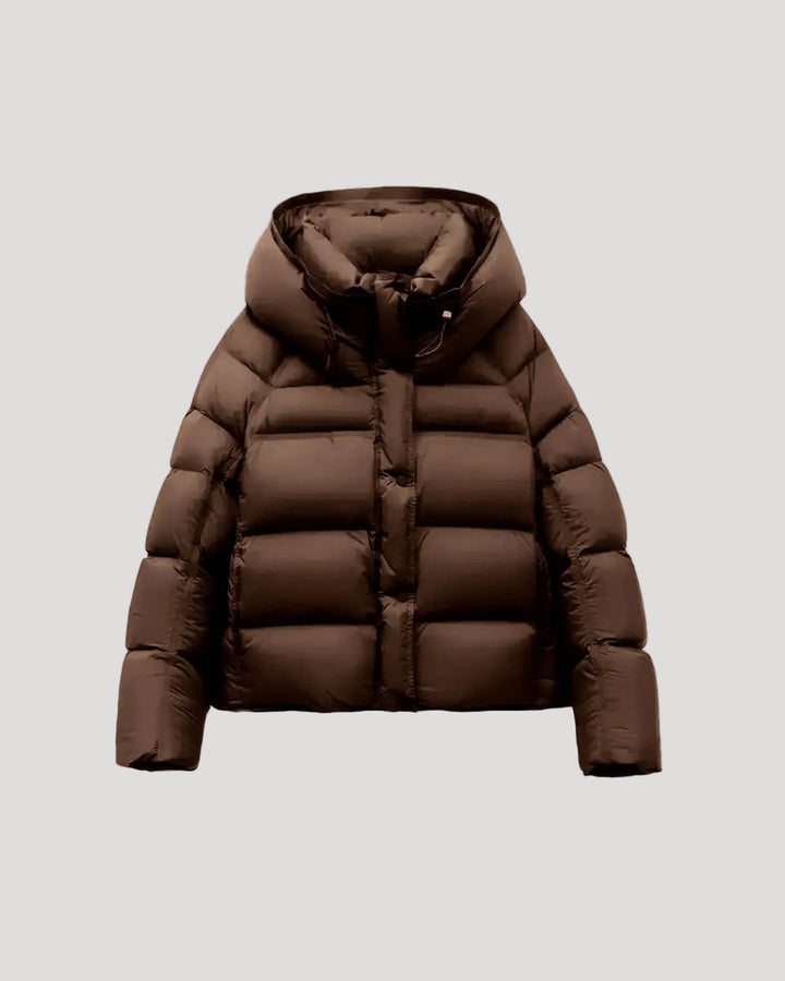 Women's Hooded Cropped Padded Jacket in Brown