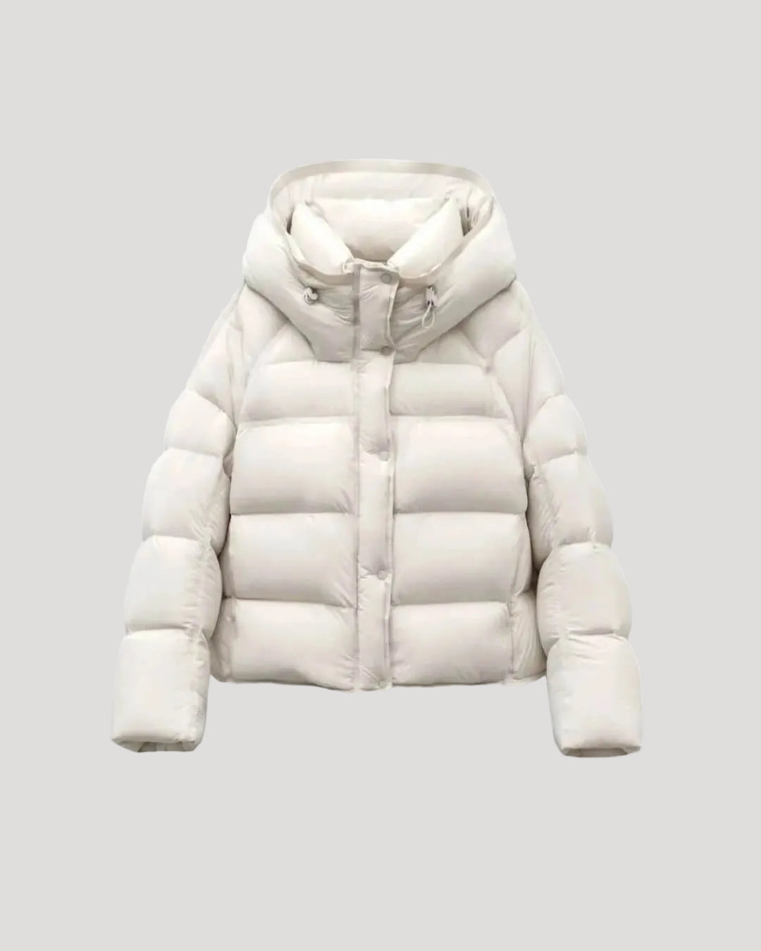 Women's Hooded Cropped Padded Jacket in Cream
