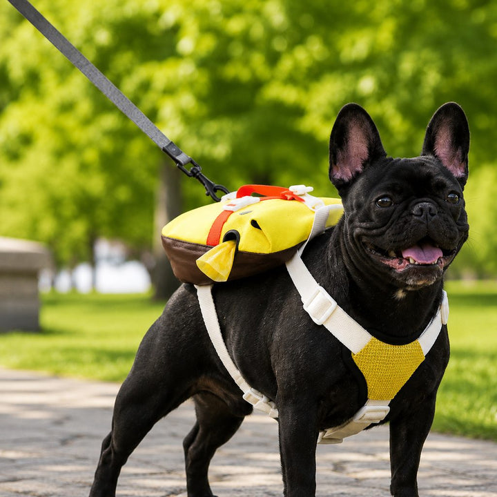 Frenchie Adventure Backpack Harness for Daily Walks