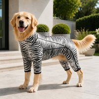 Zebra Print